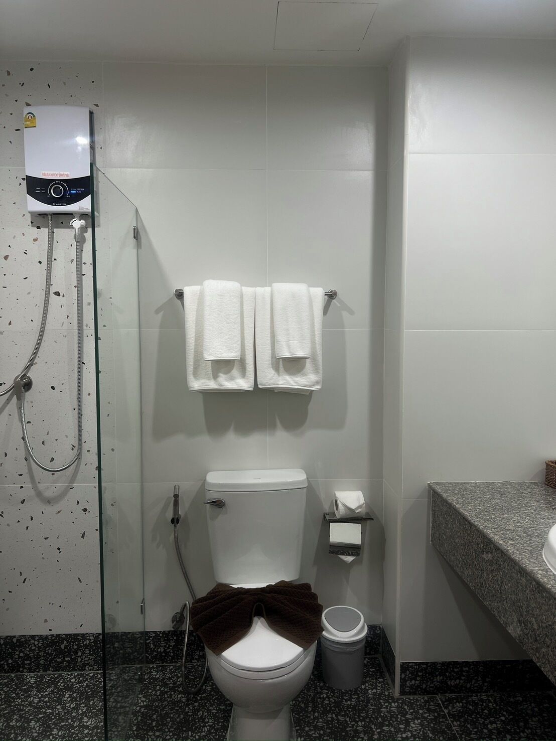 Une salle de bain avec des toilettes, une douche et un lavabo.