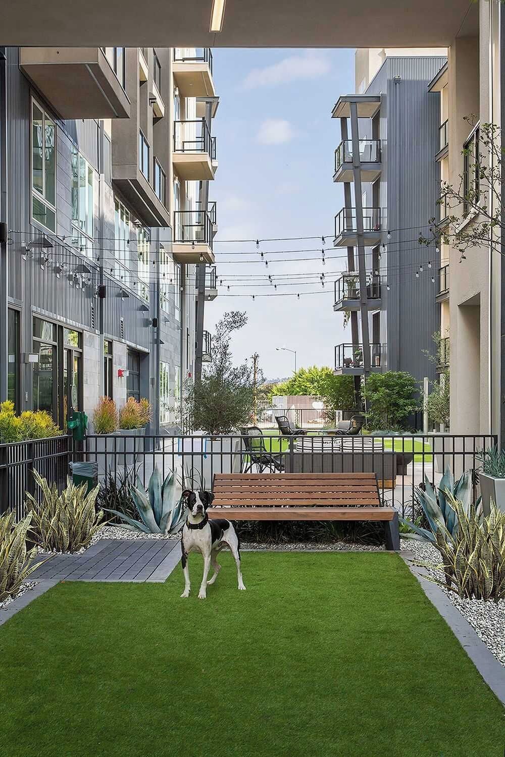 Um complexo de apartamentos moderno com varandas, um pátio ajardinado e um cão.