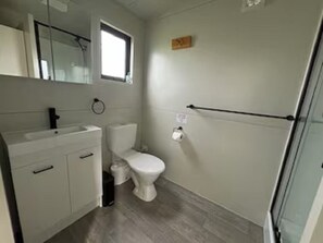 Regadera, amenidades de baño ecológicas, secadora de cabello, toallas