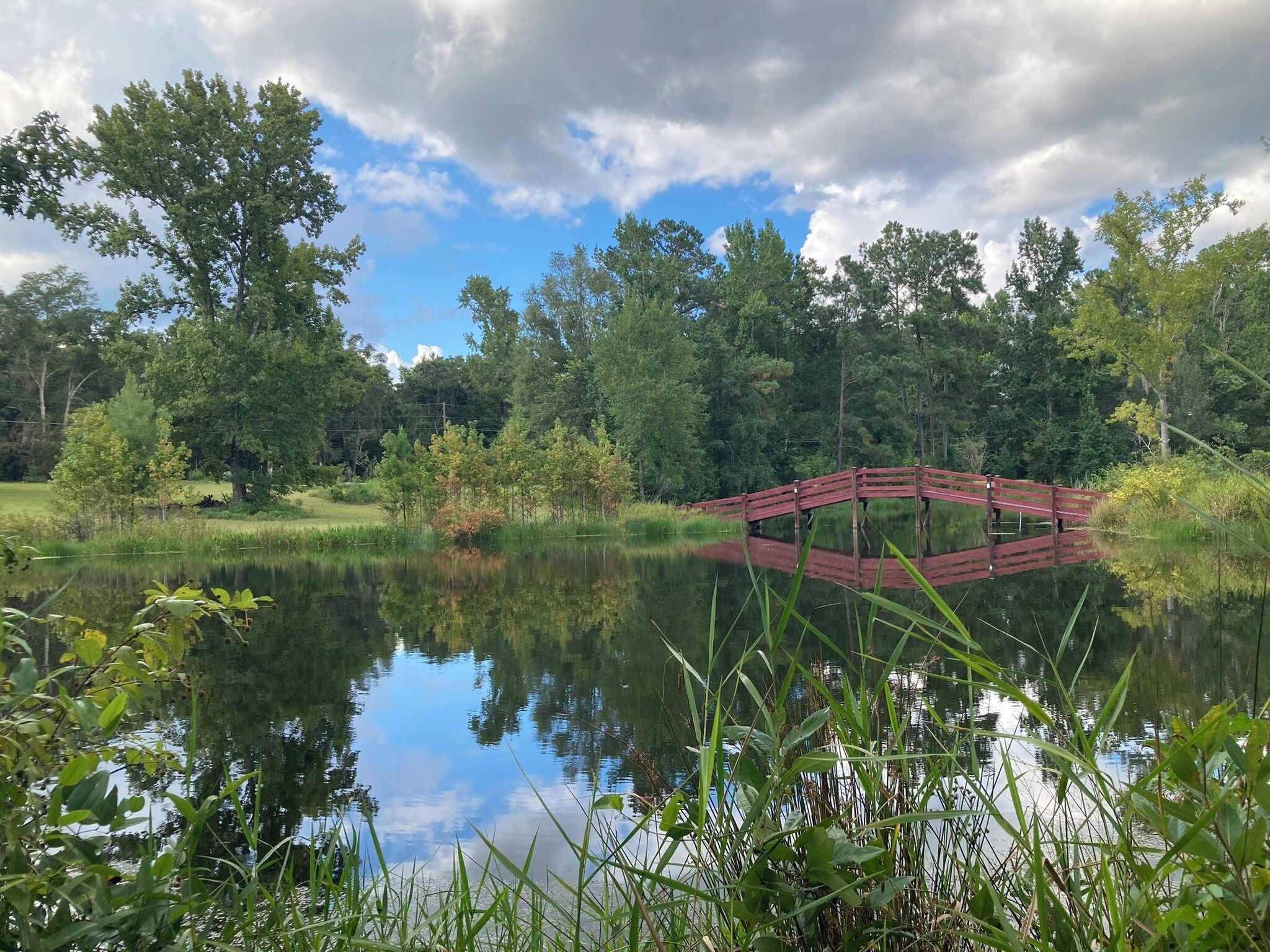 A wooden bridge over a calm pond surrounded by trees.
