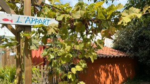 Detalhe da fachada