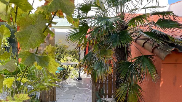Terraço/pátio