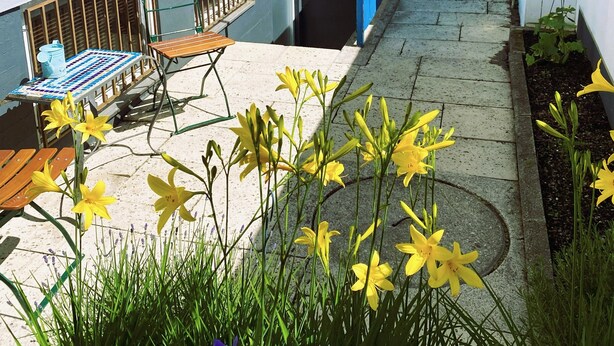Une cour avec un espace aménagé pour s’asseoir, une petite table et des fleurs jaunes.