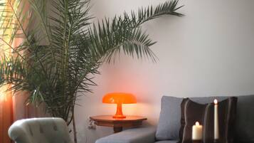 Smart-tv, dvd-afspiller, bøger, musikbibliotek