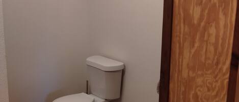 A small bathroom with a white toilet, wooden floor, and a wooden door.