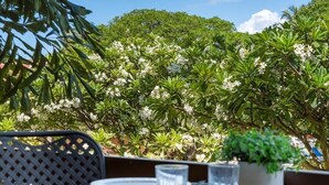 Un área de comedor al aire libre con una mesa dispuesta para dos personas, rodeada de abundante follaje y plantas en flor.