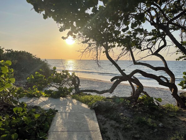 Beach - Enjoy a pleasant Island stay in La Felicida, a cozy beach front rustic cabin (Cartagena)