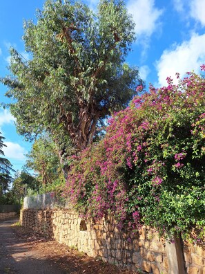 Overnatningsstedets område