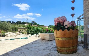 Property grounds - GioiaVitae - Bed-In-Botte - Sleep in the Vineyard (Sant'Angelo all'Esca)