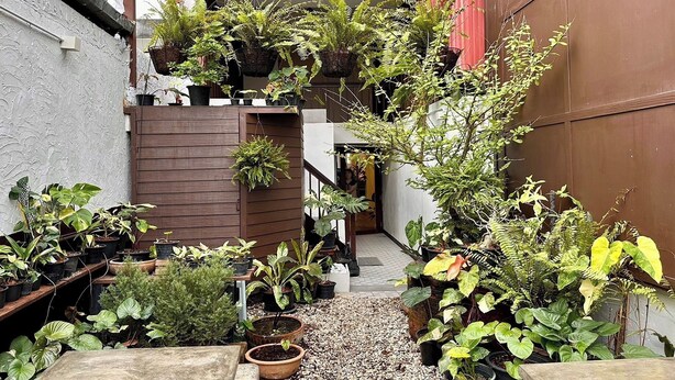 Een smalle steeg met plantenpotten en een houten hek.