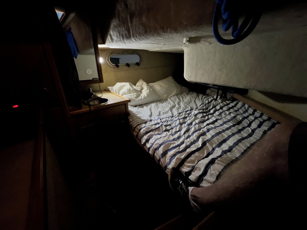 Imagen de perfil del propietario o de la propietaria