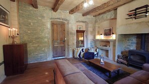 TV connectée, cheminée, livres, chaîne hi-fi