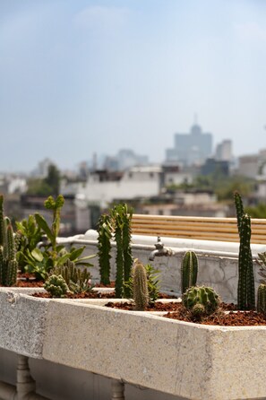 Property grounds - Modern and Bright Apt. in Trendy Roma Norte (Ciudad de México)