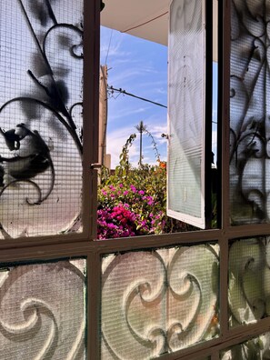 Detalle del exterior