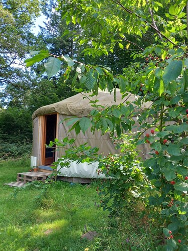 Yourte Contemporaine Dans Micro Ferme Bio