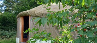 Yourte Contemporaine Dans Micro Ferme Bio