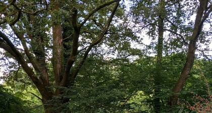 Yourte Contemporaine Dans Micro Ferme Bio