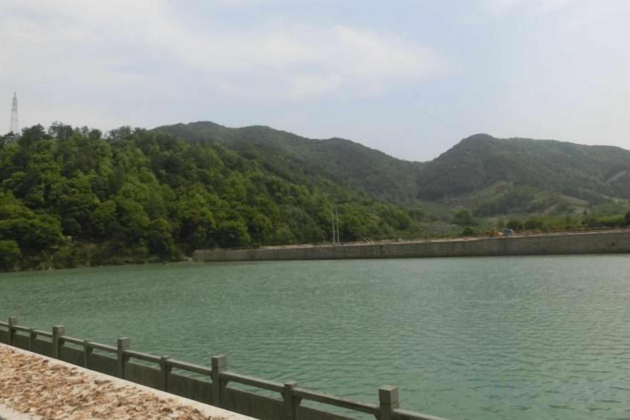기타