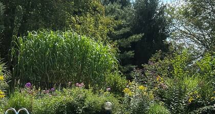 Peaceful & quiet 4-bedroom w pool, lovely garden, deck, outdoor shower, WiFi, AC
