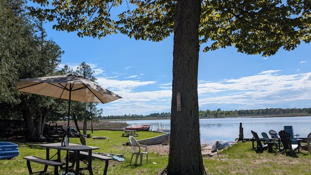 Terraza junto al lago con mesas de picnic, una sombrilla y asientos al aire libre.
