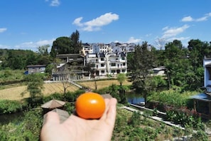 A hand holding an orange ball in front of a building complex with multiple floors and a river in the foreground. - Jingxutang Hostel (Wuyuan)