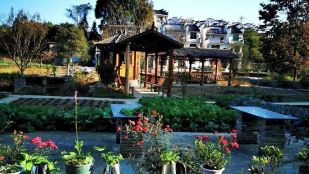 Garden - Jingxutang Hostel (Wuyuan)