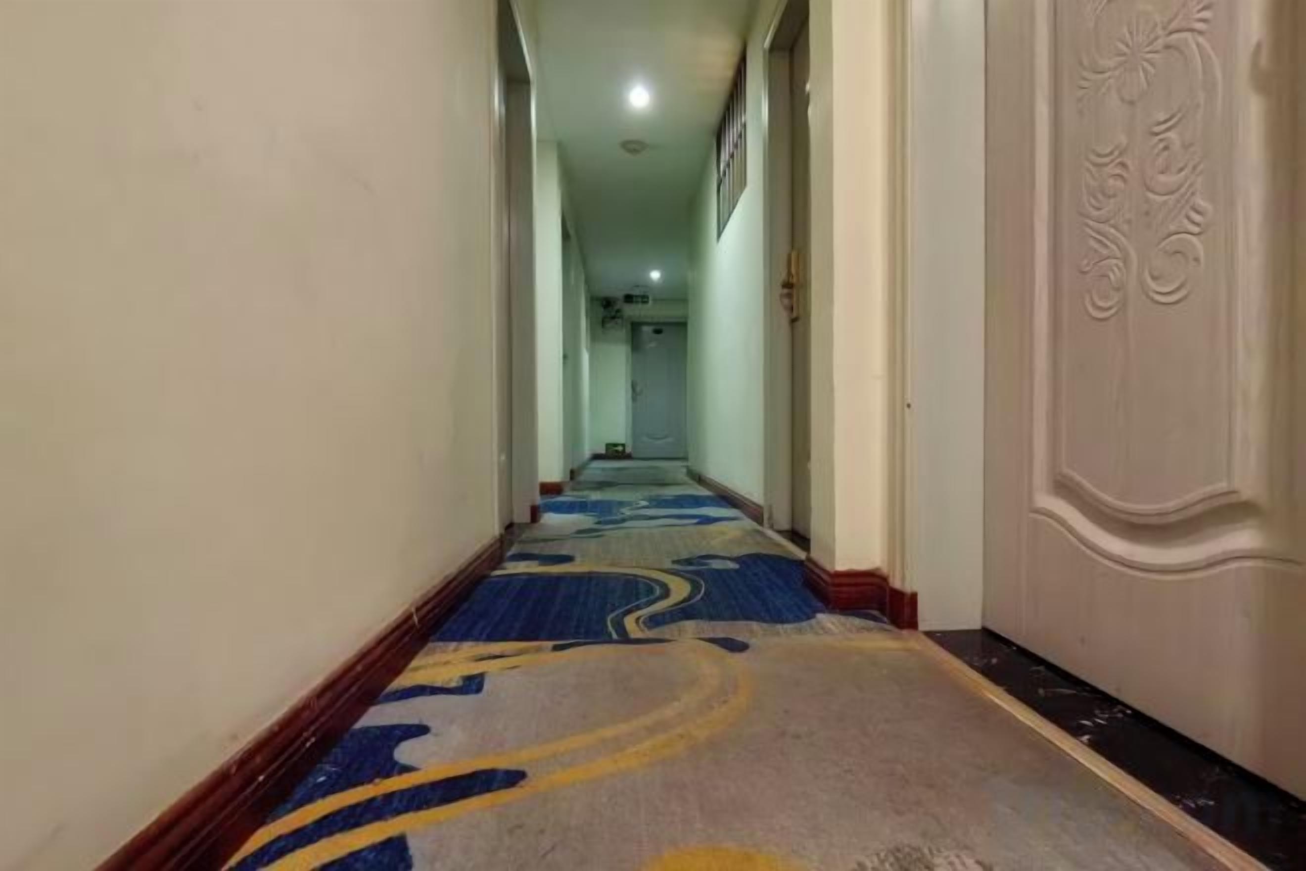 A corridor with a patterned carpet, a door with an ornate design, and a light fixture on the ceiling.