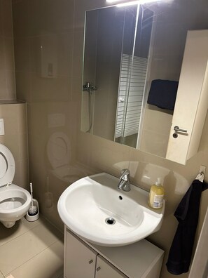 Ein Badezimmer mit Toilette, Waschbecken, Spiegel und Dusche.