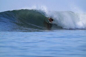 Ride the waves in style, with breathtaking ocean views and endless surfing opportunities.