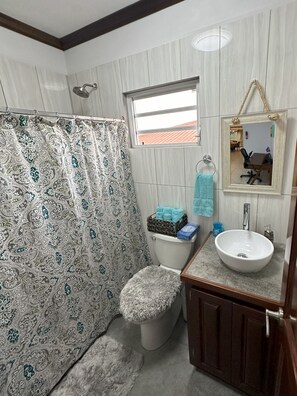 A bathroom with a shower curtain, toilet, sink, and a mirror. - Casa Carimi - 3BR vacation home, family or group seeking relaxation & exploring. (San Ignacio)