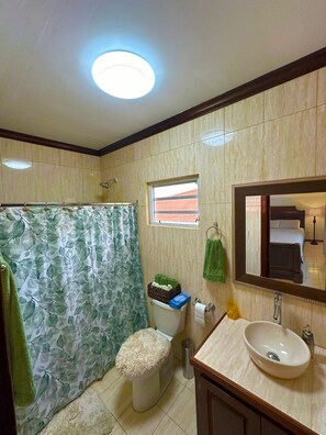 Shower, hair dryer, towels, soap