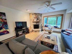 Smart TV, chimenea y libros 