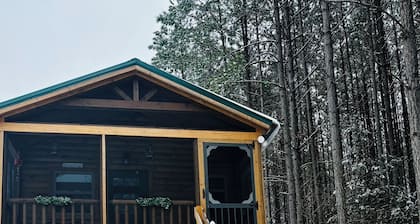 Falcons Nest cabin with AC and WiFi in enchanting Calhoun TN