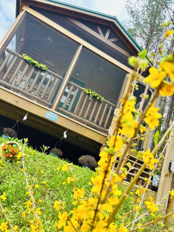 A wooden cabin with a balcony, surrounded by greenery and flowers.