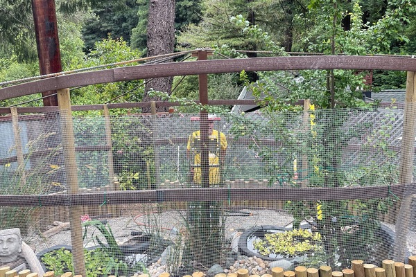 Área da propriedade