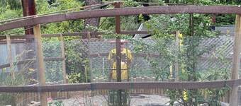 Whimsical Wilderness: Wonderful Yurt Stay