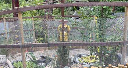 Whimsical Wilderness: Wonderful Yurt Stay