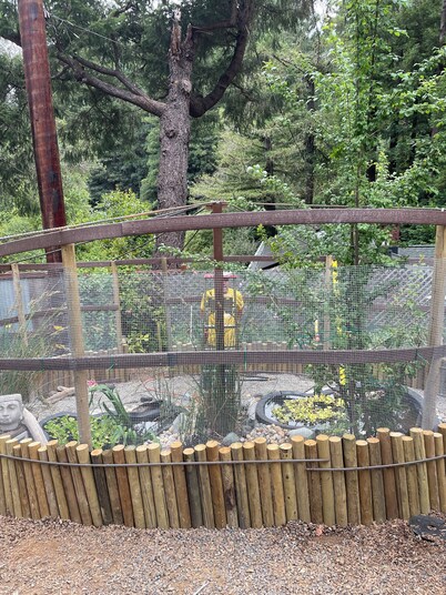 Whimsical Wilderness: Wonderful Yurt Stay