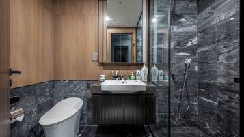 Shower, hair dryer, bidet, towels