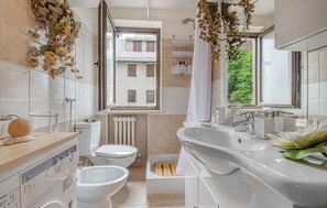 Shower, hair dryer