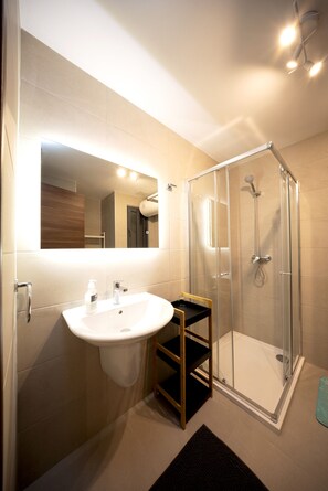 Shower, hair dryer, towels
