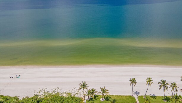 Ein Strand mit freiem Blick auf den Ozean und einem sandigen Ufer.