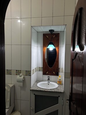 シャワー、ヘアドライヤー、タオル、トイレットペーパー