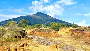 Bungalow | Bathroom | Shower, free toiletries, towels, soap