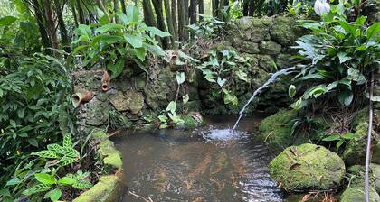 Finca el Remanso La Vega -Beautiful Exotic chalet-Close encounter with nature.