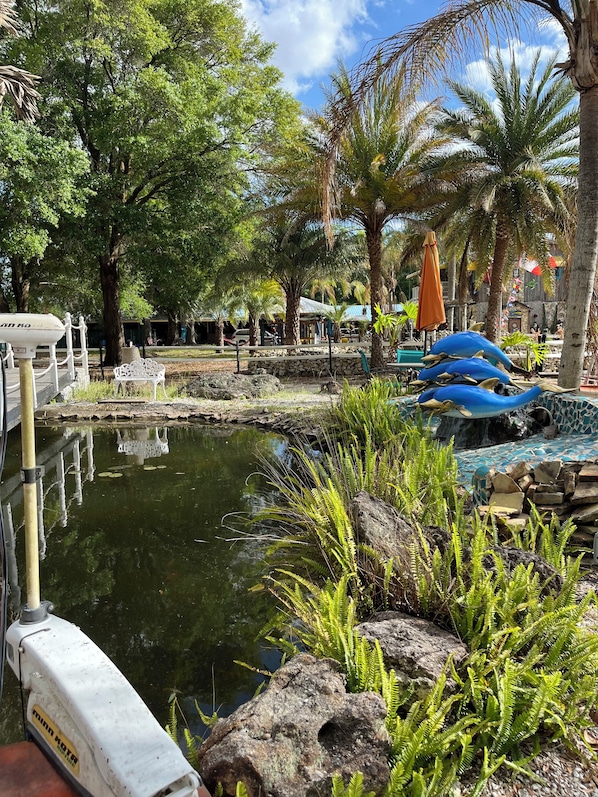 A serene outdoor area with a pond, surrounded by lush greenery and palm trees.