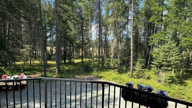 Ett trädäck med ett metallräcke, omgivet av ett skogsområde.