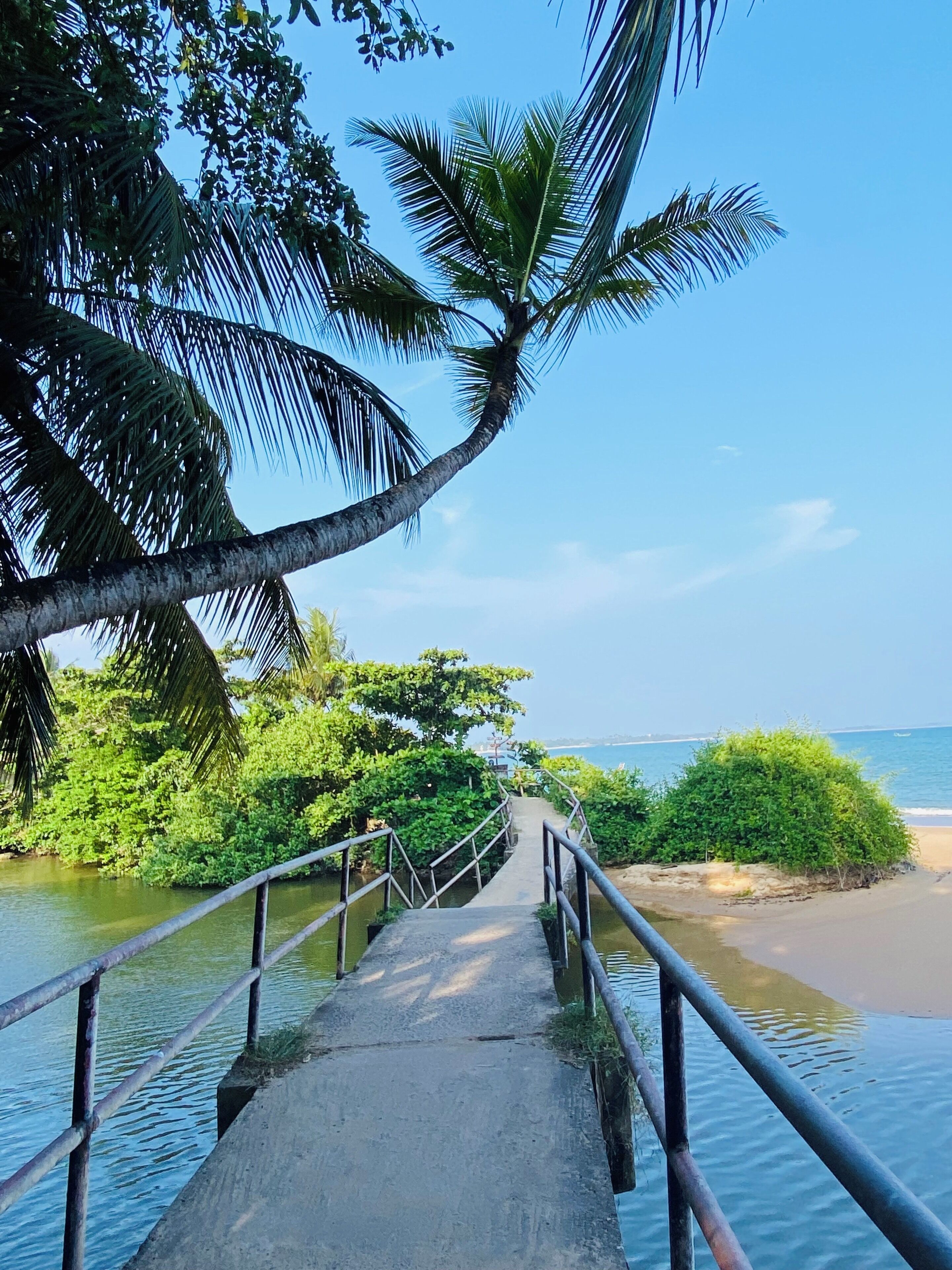 A concrete pathway with metal railings leading to a beach, surrounded by lush greenery and palm trees.