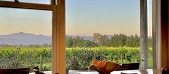 St Leonards Vineyard Cottages