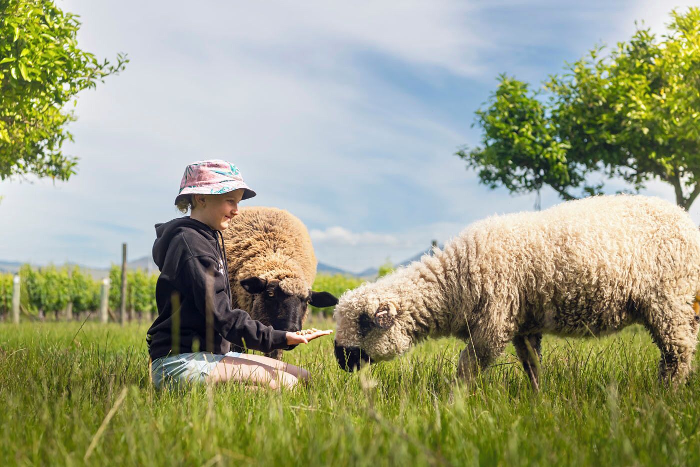 Une personne assise dans l’herbe, dans un champ où se trouvent des moutons.